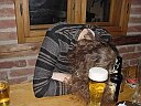 Get 2004/01/30/292.jpg - bisher 1246 mal angeklickt.